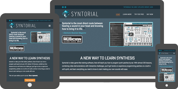 Syntorial WordPress Website